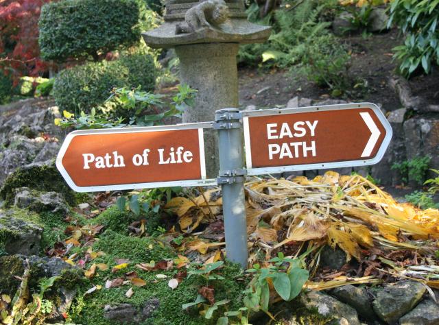path of life